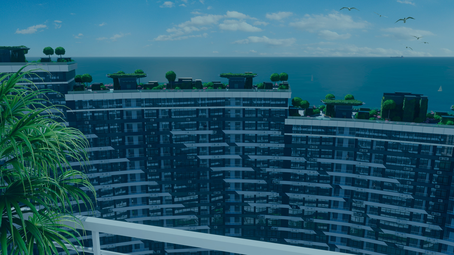 Притяжение <br>жизни